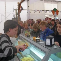 15 let kakijevega praznika v Strunjanu