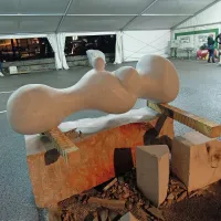 Marmor in barve med Rižano in oljkami