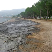 Z muljem, ki so ga odstranili z dna ribiškega pristanišča, so 
utrdili bregove lagune Stjuža, kjer so speljali tudi cesto. 