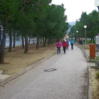 Cesto, ki zdaj ločuje plažo na dva dela, bodo prestavili 
nekoliko bolj na levo, na obrežje lagune Stjuža.  