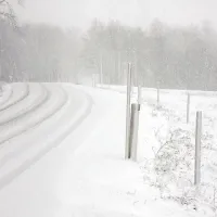 Tudi ponekod na Primorskem je snežilo