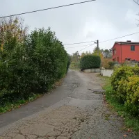 Le kaj bi še ostalo od te vaške ceste, če bi po njej gor in dol 
vozili težki tovornjaki z gradbenim materialom in betonom?
