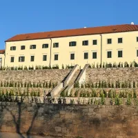 V povsem prenovljeni graščini bo prostor za upravo, predavalnice, muzejsko trgovino in manjši lokal z izhodom na 
leseno ploščad  na vrhu teras. Te so na novo zasadili.

