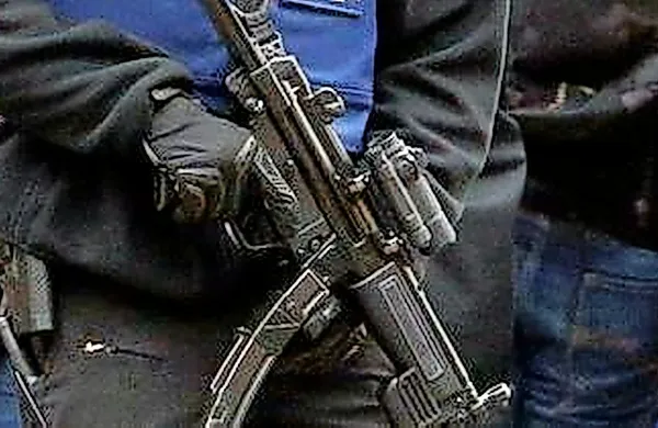 V tržaškem pristanišču so finančni stražniki in cariniki  odkrili 
pošiljko 781  pušk winchester SXP. 