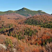 Gozdni rezervat Snežnik in vrh Snežnika

