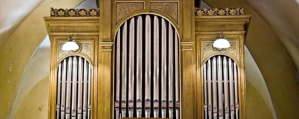 Poznavalci dutovske orgle opisujejo kot pomanjšano verzijo 
orgel v uršulinski cerkvi v Ljubljani.