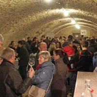 Grajska in druge kleti vabile na vinsko pot po Vipavskem Križu
