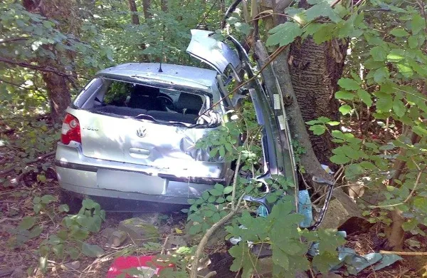 Sistem eCall bi zagotovo pomagal 66-letni Ljubljančanki in 
88-letnemu Ljubljančanu, ki sta se konec maja 2009 odpeljala na Primorsko po vino, na viaduktu Goli Vrh nad 
Razdrtim zapeljala na ograjo in z avtom zgrmela v gozd pod 
avtocesto. Ker na ograji skoraj ni bilo sledi, je avto in njuna 
trupla naključni sprehajalec našel šele dva meseca in pol 
kasneje. 