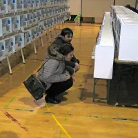 Na ogled 1100 malih pisanih &ldquo;pevk&rdquo;