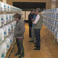Na ogled 1100 malih pisanih &ldquo;pevk&rdquo;