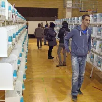 Na ogled 1100 malih pisanih &ldquo;pevk&rdquo;