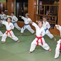 Mladi karateisti se zavedajo, kako pomembna je disciplina pri učenju karateja, zato med treningom ne klepetajo, ampak zbrano poslušajo trenerja.