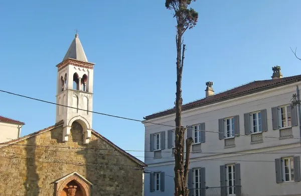 Od petih cipres na vogalu Trga Brolo (pri ZZZS)  je  ostala le 
ena “metlica”. Tudi to bodo požagali. 