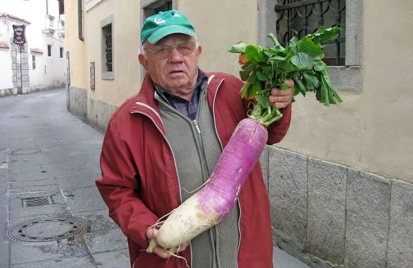 Ta je velika, &scaron;e večjo pa so mu ukradli