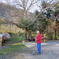 Domačin Silvo Kramersteter na dvorišču svoje domačije, ki je 
le nekaj metrov stran od reke Dragonje (za drevesi) in 
mejnega prehoda s Hrvaško. Kramersteterji vidijo v ovirah, 
potem ko jih bo zaraslo robidovje,  predvsem povečano 
tveganje za poplave, ki so jim že večkrat uničile dom.   