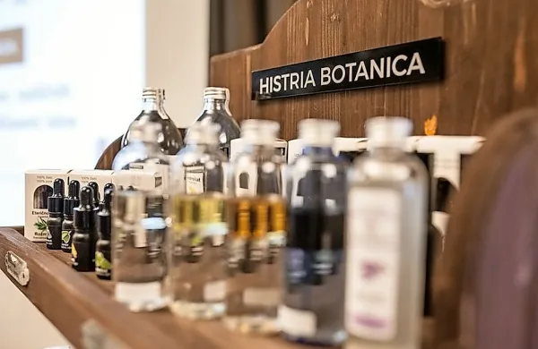 Histria Botanica je majhno kmetijstvo, kjer na približno  dveh 
hektarjih zemljišč v dolini reke Dragonje pridelujejo in predelujejo avtohtona zelišča in dišavnice.