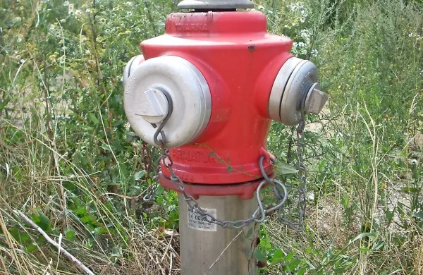 Fotografija je simbolična.