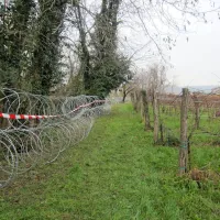 Žica je vse dalj&scaron;a, ogroža ljudi, naravo in živali