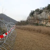 Žica je vse dalj&scaron;a, ogroža ljudi, naravo in živali