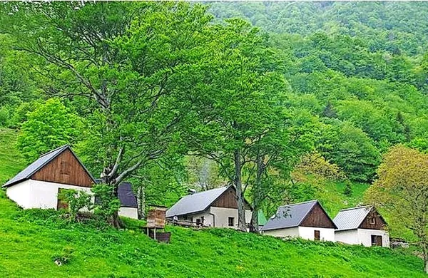 Posebno priznanje je prejel projekt prenove pastirskega 
stana z mlekarno in sirarno ter petih hlevov na planini Laška 
seč na Tolminskem.