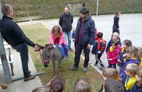Na posesti Biotehniške šole sta poleg učnih njivi, vinogradov, 
oljčnika in kolekcijskega nasada še  pašnik za drobnico in hlev 
z oslički.   Slednje so ob obisku lahko pobožali najmlajši. 