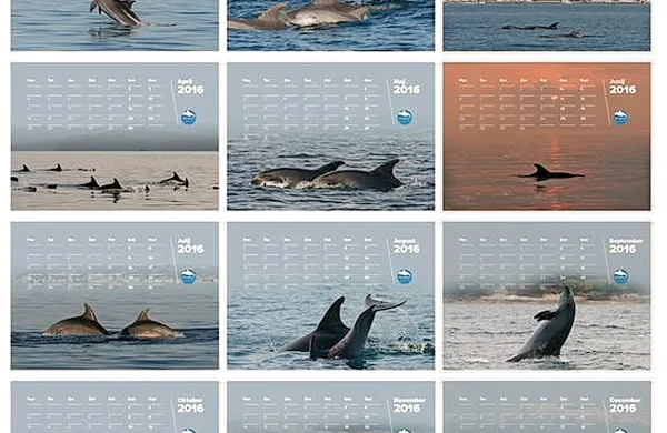 Do konca decembra bodo tisti, ki bodo   posvojili delfina,  
prejeli tudi  koledar društva Morigenos za leto 2016 s  fotografijami delfinov iz slovenskega morja.