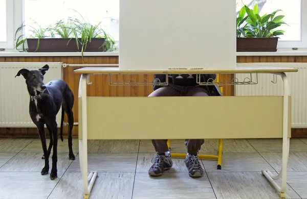 V nedeljo  bodo volišča odprta med 7. in 19. uro, okvirni izid 
referenduma bo znan ob 21. uri.