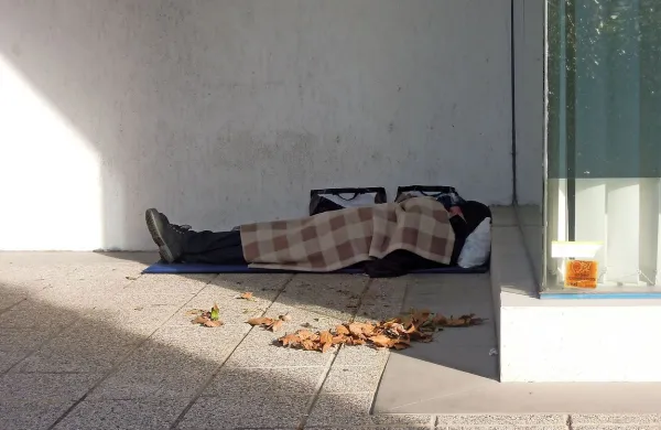 Slovenci  sanjali, da bodo mala &Scaron;vica, postali pa mala Madžarska