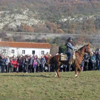 V Zanigradu blagoslovili konje, pse in kolesarje