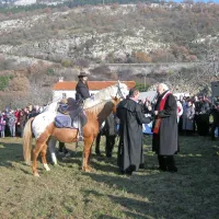 V Zanigradu blagoslovili konje, pse in kolesarje