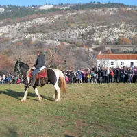V Zanigradu blagoslovili konje, pse in kolesarje