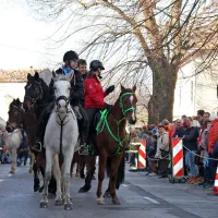 Tradicionalno 16. žegnanje konj na Sv. &Scaron;tefana v Vipavi (foto)