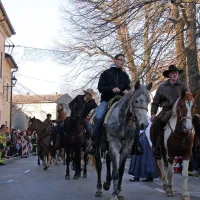 V Vipavi se je zbralo več kot 50 konjenikov, vpreg in vozov iz 
Vipavske doline.
