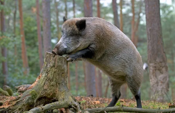 Fotografija je simbolična.