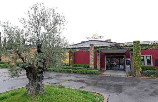 Za nakup polovičnega deleža Adriafina, ki je najpomembnejši 
solastnik Vinakopra, je prispelo osem ponudb.