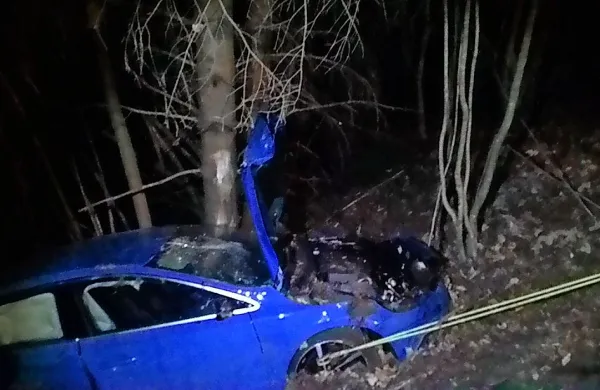 Nizozemca je z volvom zaneslo s ceste med drevesa.