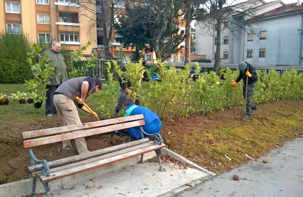 Stanovalci so samoiniciativno zavihali rokave in z živo mejo 
zavarovali igrišče. 