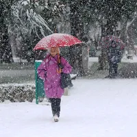 Sneženje se je začelo zgodaj zjutraj in se je umirilo v času 
kosila. 