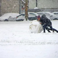 Kepanje in snežaki na dvorišču pred blokom so za novogoriške otroke redka poslastica.   