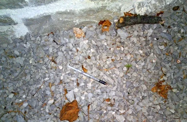 Decembra je eden od pozornih staršev v bližini sežanske 
osnovne šole našel injekcijsko  iglo in o tem preko sveta 
staršev takoj opozoril še druge starše, šolo in policijo. Igel je 
v okolici te in drugih šol na Krasu sicer manj kot pred leti. 