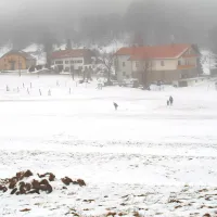 Namesto smučarjev, sankačev in tekačev sta na Lokvah 
danes kraljevala   megla in dež.