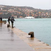 Ribiči v akciji.