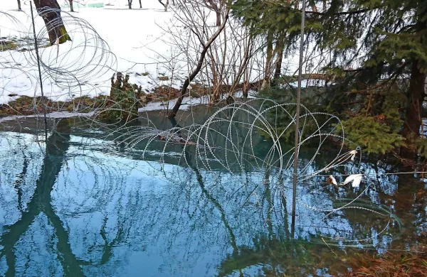 Zaradi poplavljene žične ograje ob Kolpi za zdaj škode niso 
ugotovili, se pa bojijo, da bi ob obilnejših padavinah ograja 
lahko zaradi težjega vodnega plavja popustila in se odtrgala.
