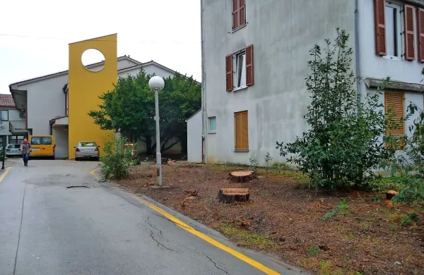Takšna je videti okolica stolpiča na Marušičevi 3, potem ko je 
izolska župnija posekala vseh šest borovcev, ki so bili menda 
že nevarno  nagnjeni.