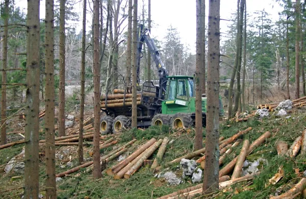 Predlog zakona določa, da se za gospodarjenje z gozdovi v 
državni lasti ustanovi  družba Slovenski državni gozdovi v 
izključni lasti države.