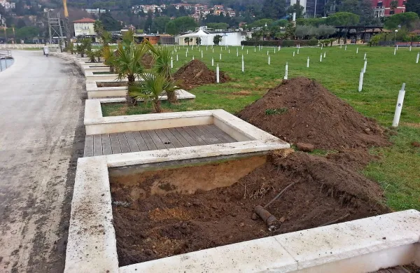 Stare in posušene palme na osrednji portoroški plaži so že 
izruvali, na njihovo mesto pa bodo posadili manjšo, avtohtono vrsto. 