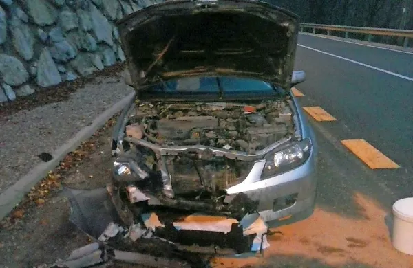 Zaradi skale, ki je padla na cesto med Reko in Stopnikom, jo 
je na srečo skupil le avto.