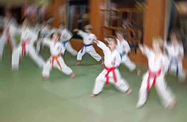 Trener karateja, obtožen spolnih napadov na učenke, je moral 
včeraj poslušati še obtožbe zaradi družinskega nasilja. 
Fotografija je simbolična.