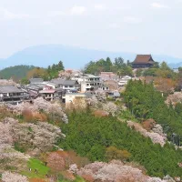 Čajna hiša na Japonskem