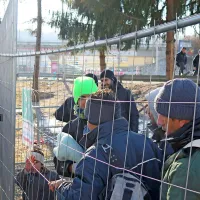 Na avstrijski strani mejnega prehoda Šentilj so danes začeli 
poskusno izvajati nov sistem sprejemanja migrantov. 